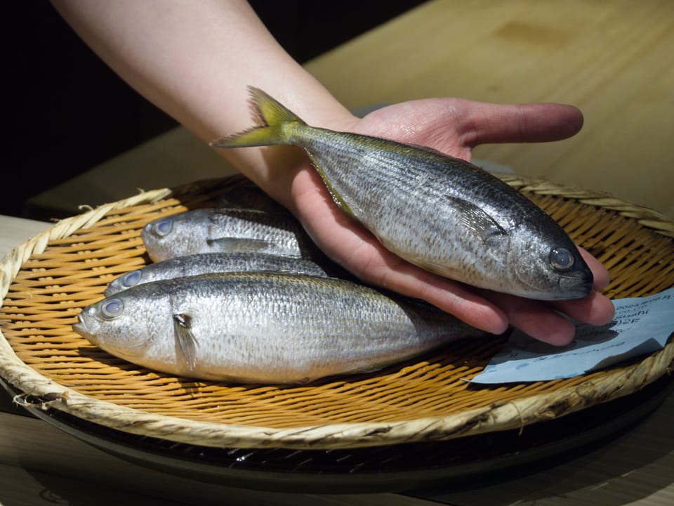 【 皇室貢品 ‧ 高部魚 二戰時期主食】